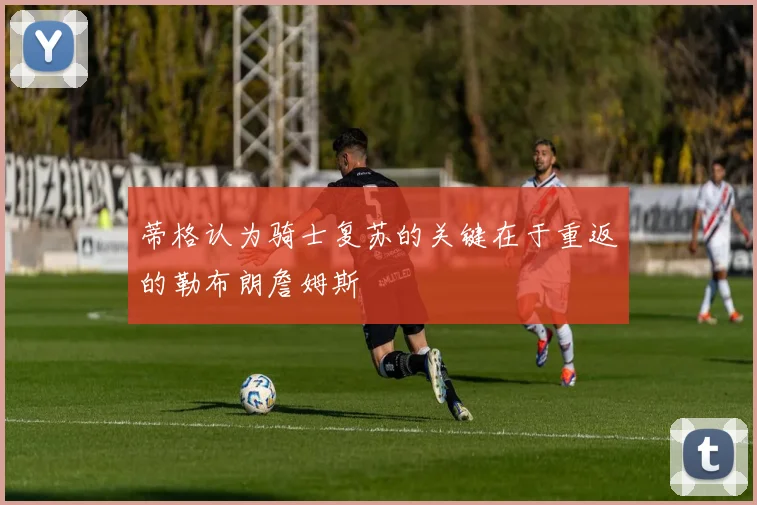 蒂格认为骑士复苏的关键在于重返的勒布朗詹姆斯