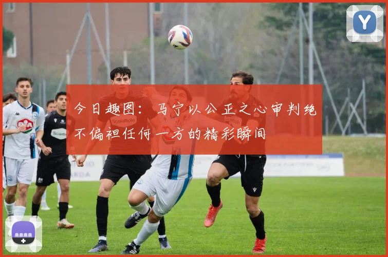 今日趣图：马宁以公正之心审判绝不偏袒任何一方的精彩瞬间