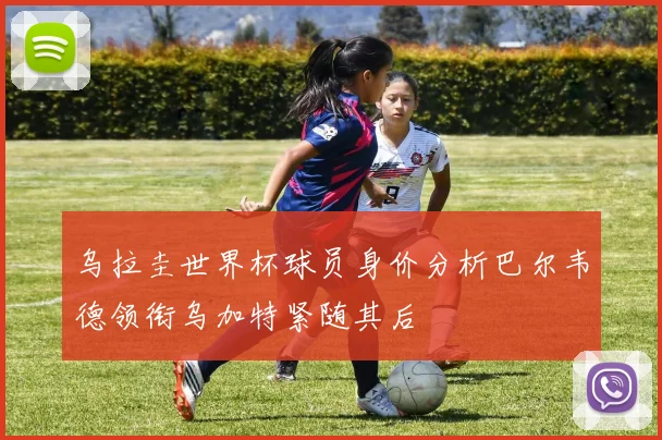 乌拉圭世界杯球员身价分析巴尔韦德领衔乌加特紧随其后