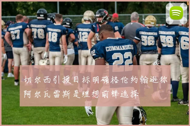 切尔西引援目标明确格伦约翰逊称阿尔瓦雷斯是理想前锋选择